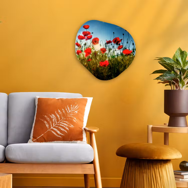 Organisch schilderij - Forex - Klaprozen - Toscane - Zon - Rood - Blauw — 3