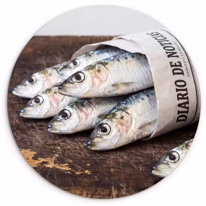 Wandcirkel - Glas - Sardientje - krant - snijplank